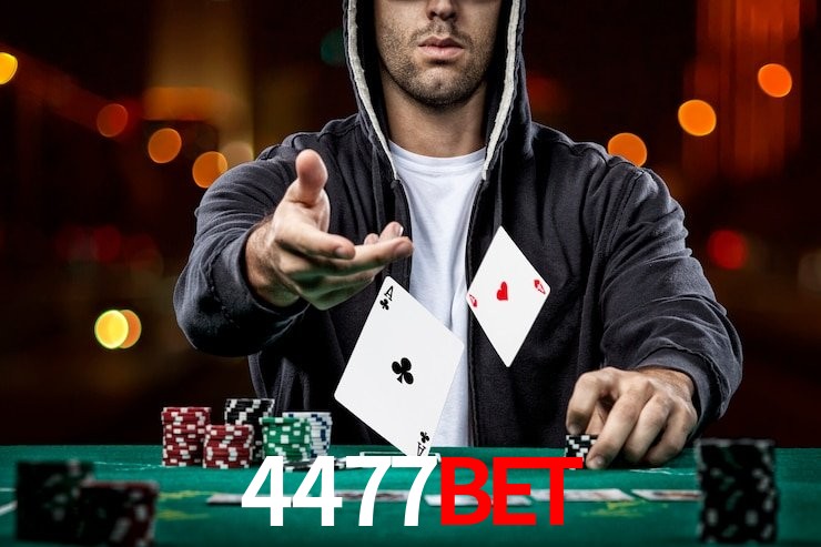 4477BET,4477BET.COM