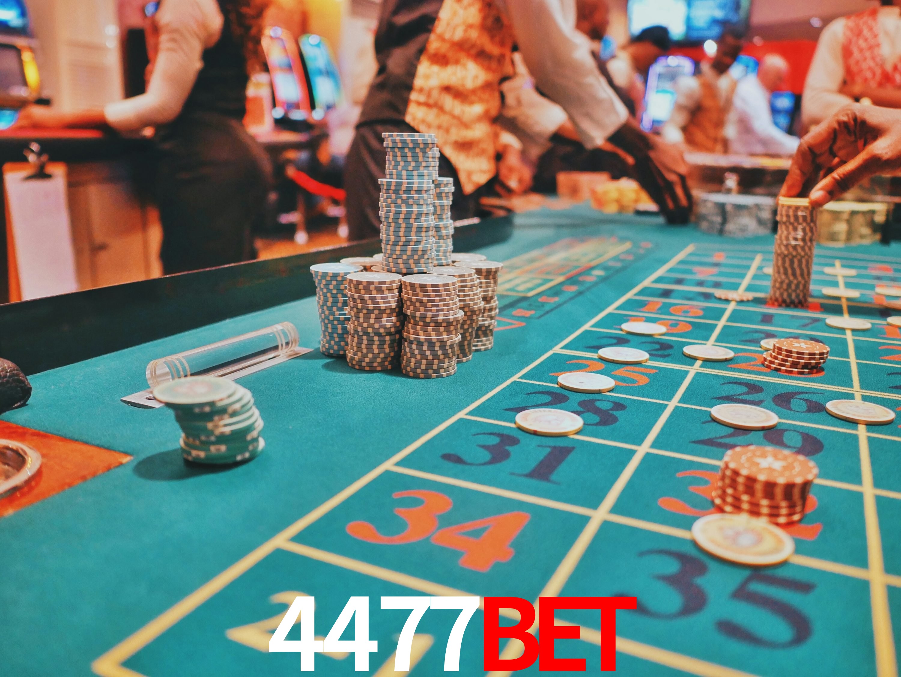Programa VIP 4477BET